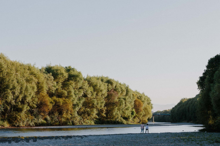 December Market Update's Cover Image