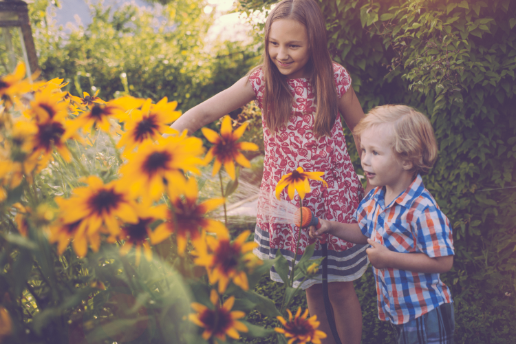 August Market Update's Cover Image