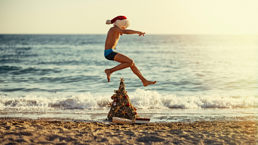 December Market Update's Cover Image